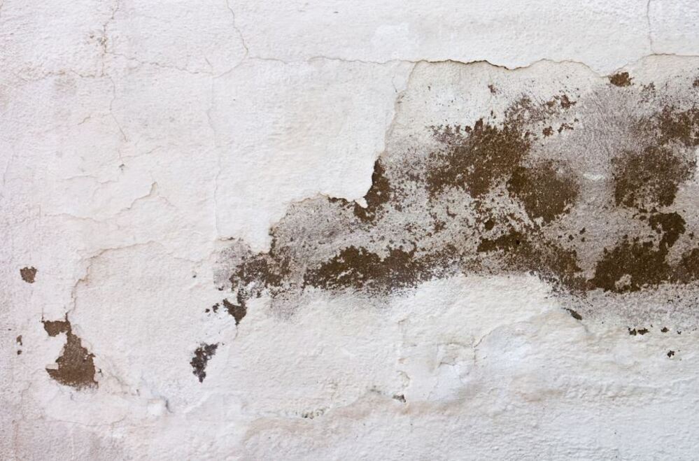¿Cómo evitar las filtraciones de agua en la pared?