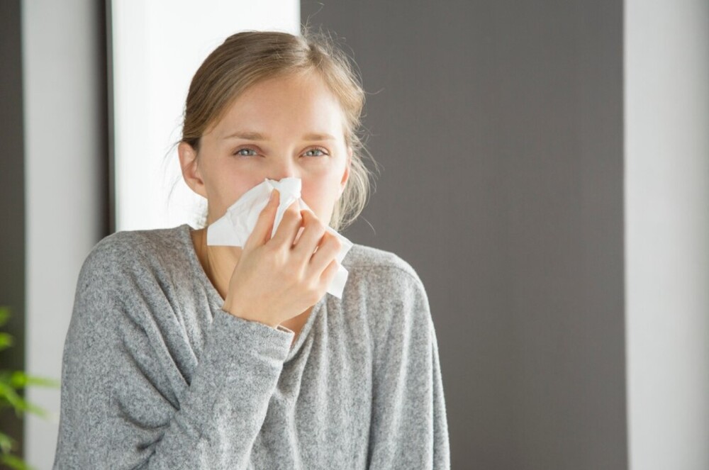 ¿La humedad da alergia? | Elimina la humedad de tu vivienda