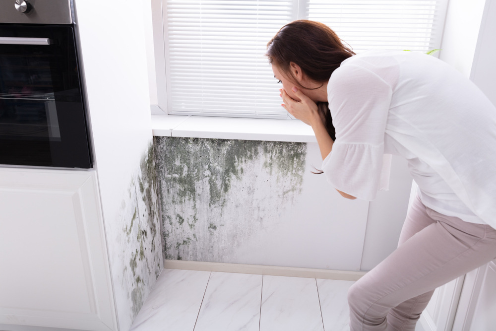 Moho detrás de los muebles | Causas y soluciones
