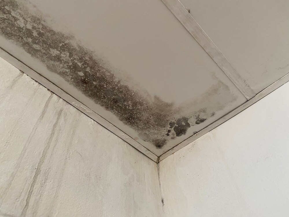 Cómo quitar las humedades del techo
