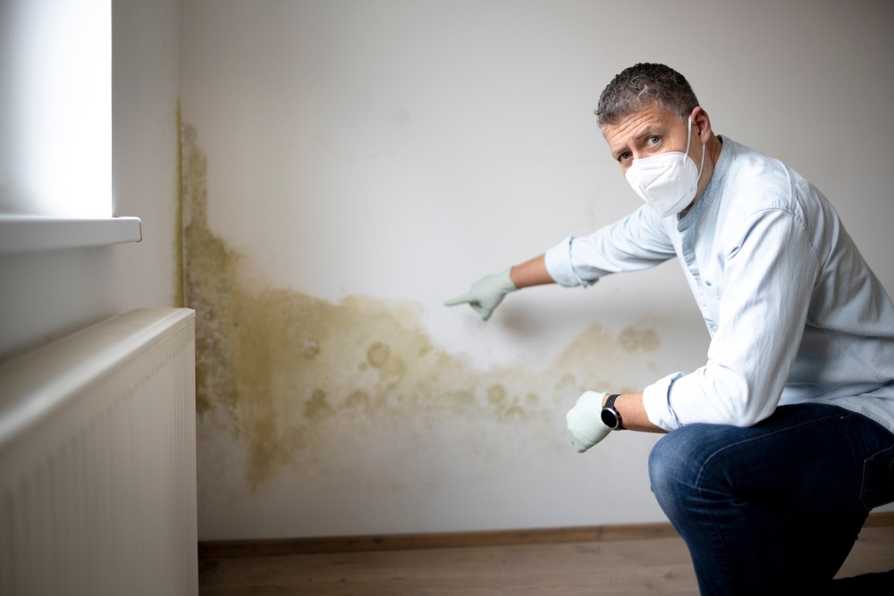 Cómo detectar la humedad en una vivienda antes de comprarla
