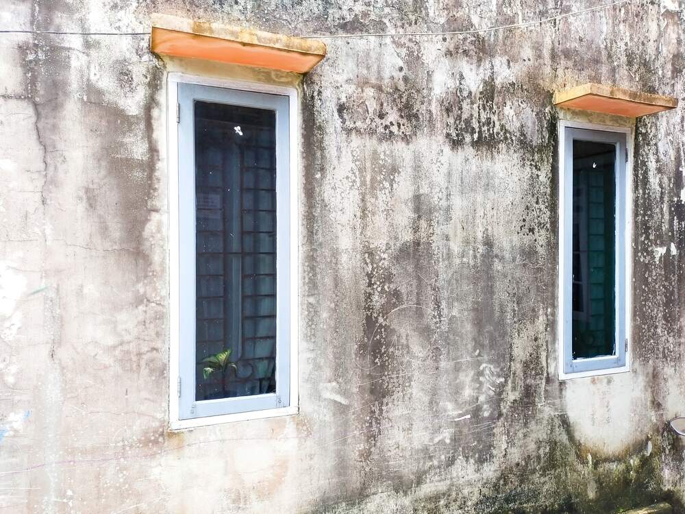¿Qué hacer si tengo humedades en la fachada de mi edificio?