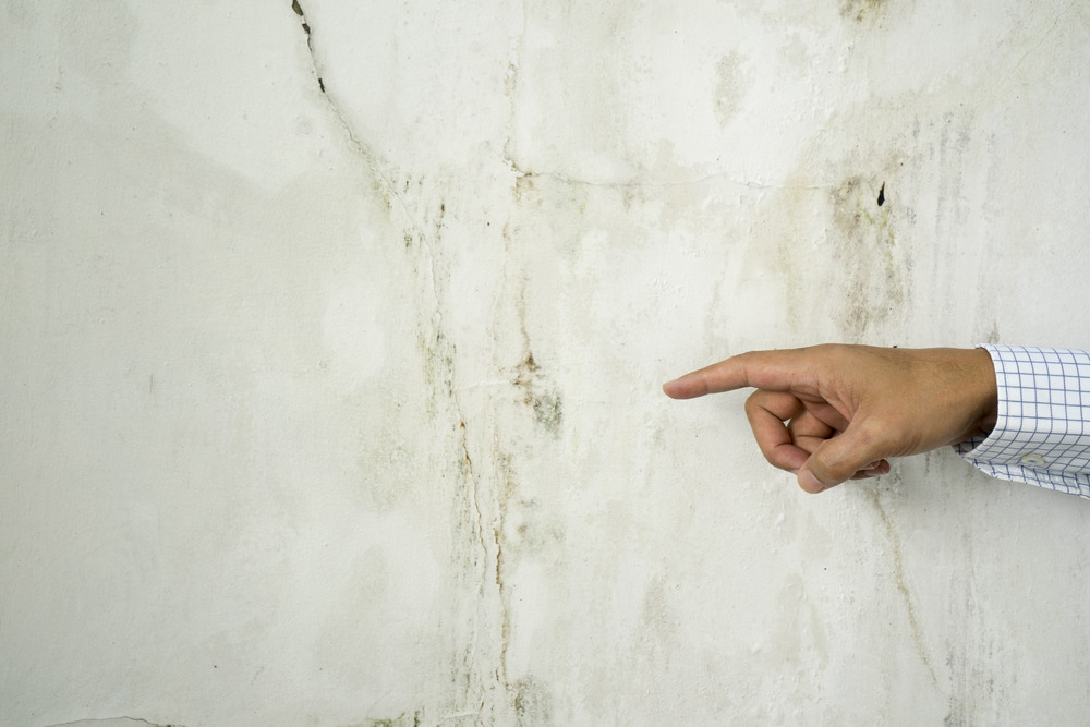 Señales de humedad que puedes detectar en una vivienda antes de comprarla