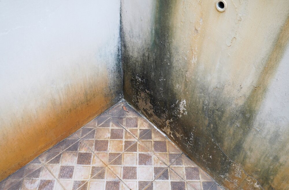 Prevención de moho causado por condensación en interiores