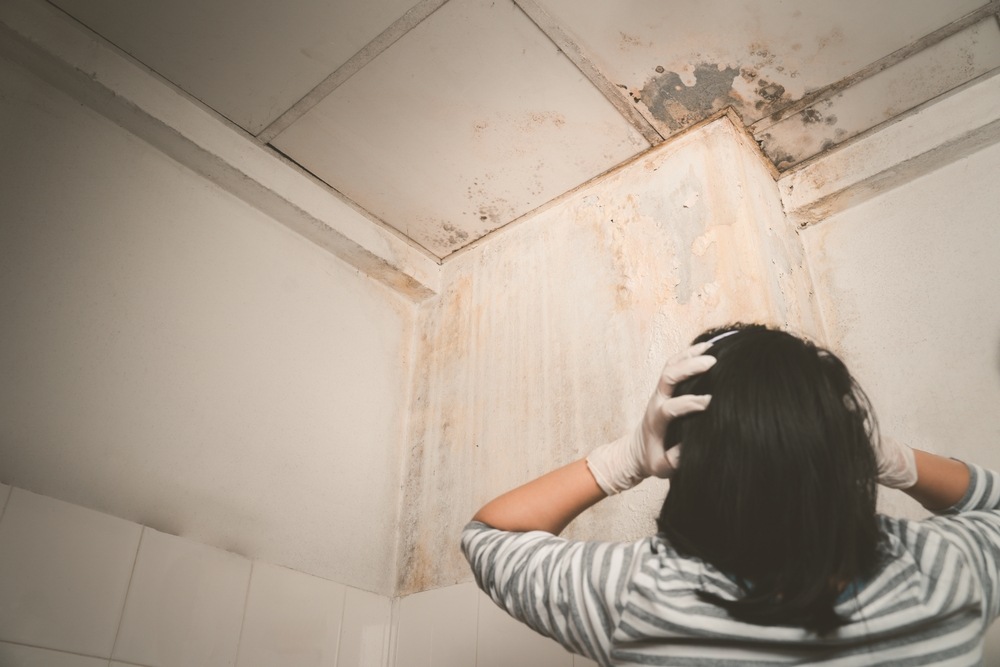 Cómo detectar humedades ocultas en casa: soluciones definitivas