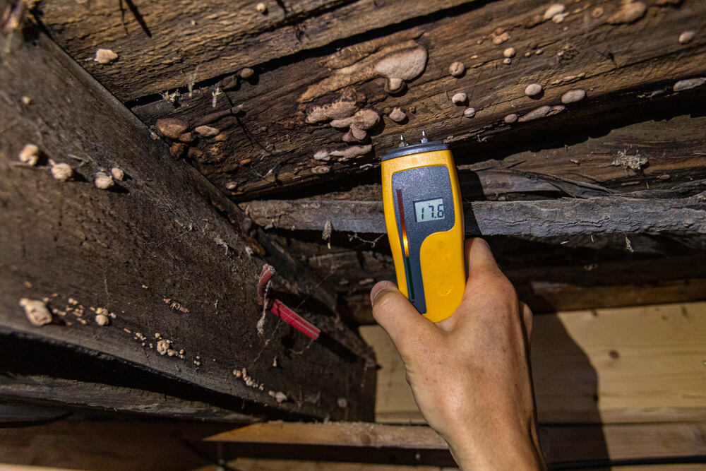 Cómo proteger estructuras de madera frente a la humedad y el moho