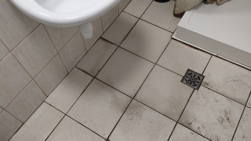 Recomendaciones para prevenir la humedad en baños sin ventanas