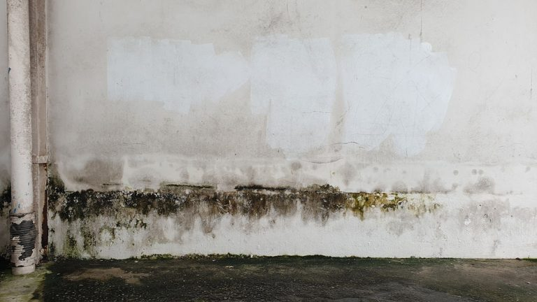 Empresa de humedades en Granada I Presupuesto gratuito