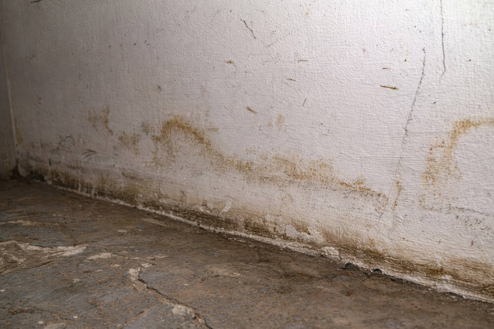 problemas de condensacion en el sotano