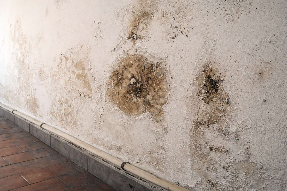 problemas humedades sotano 