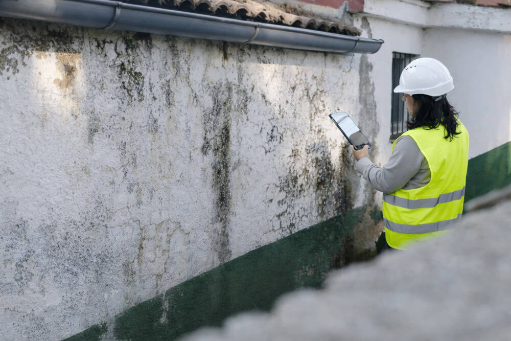 diagnostico problema humedades pared 