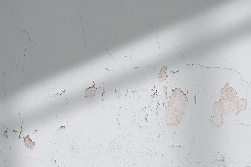 pintura levantada humedad